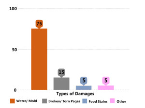 infographic