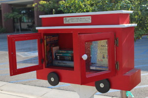 little library 2