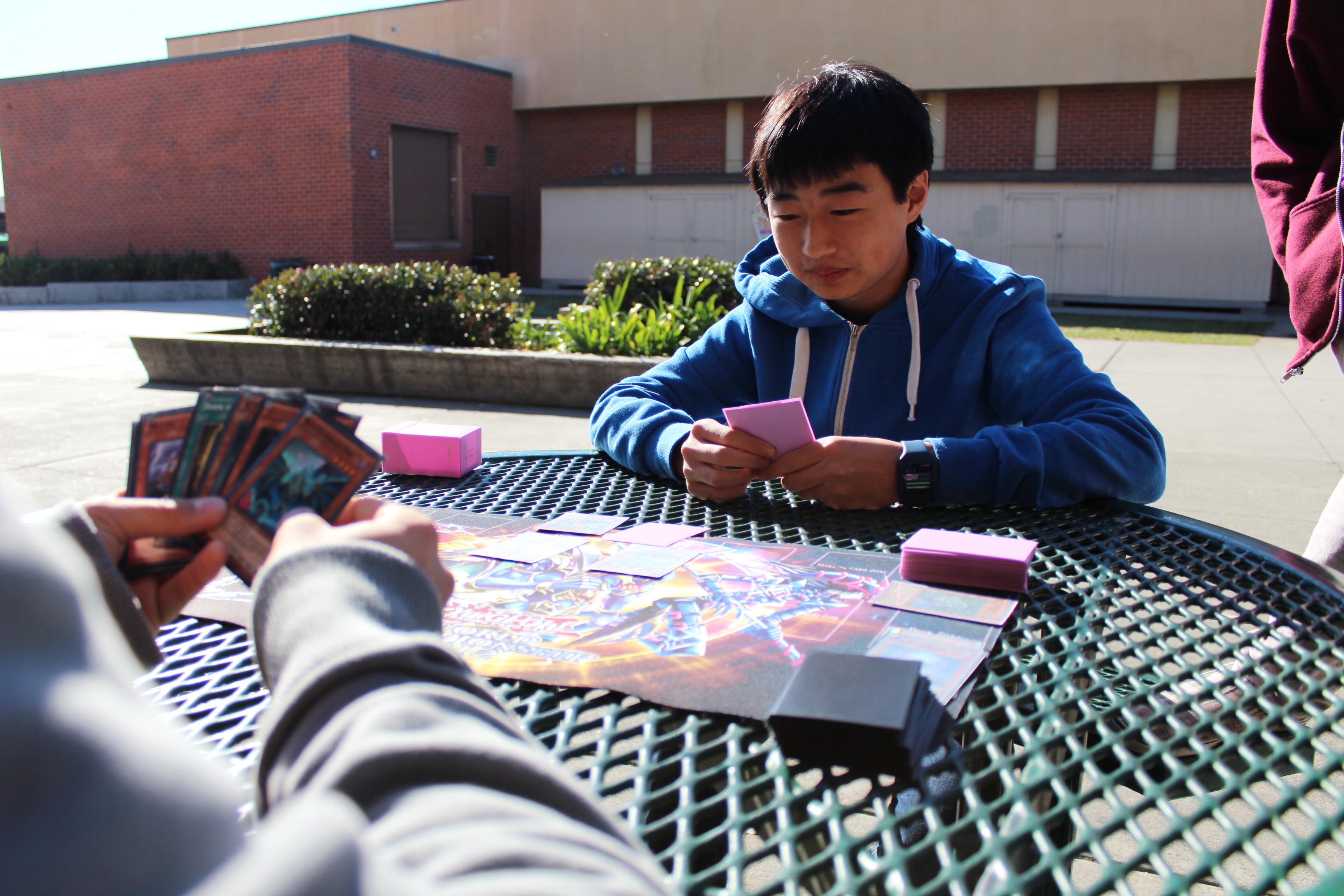 Yung collects classic monster card game