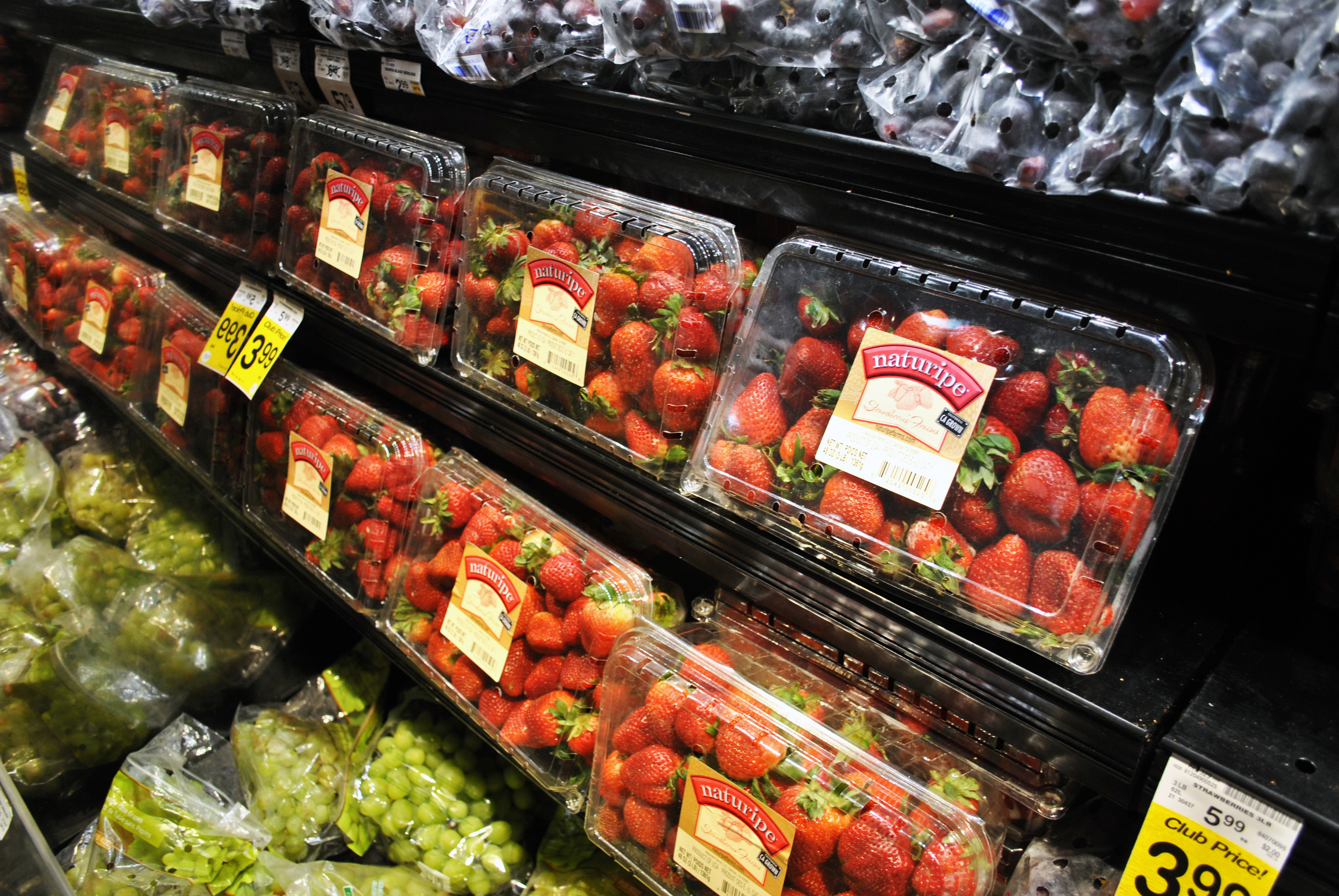 Don’t waste time and money on subpar produce