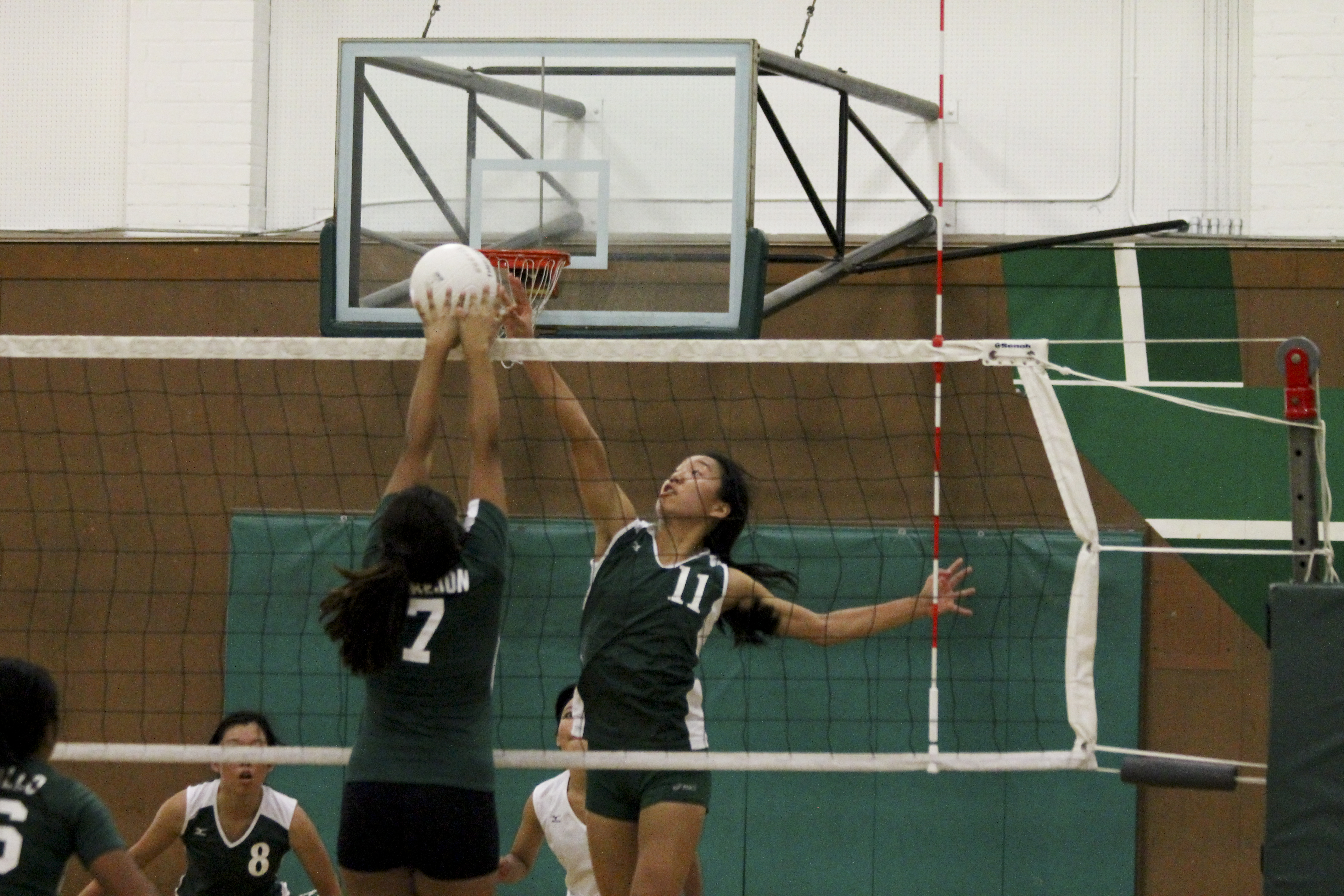 Girls Varsity Volleyball looks to leap over competitors and adversity