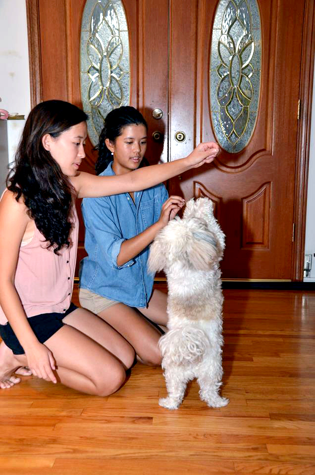 Phamily dog shows off tricks