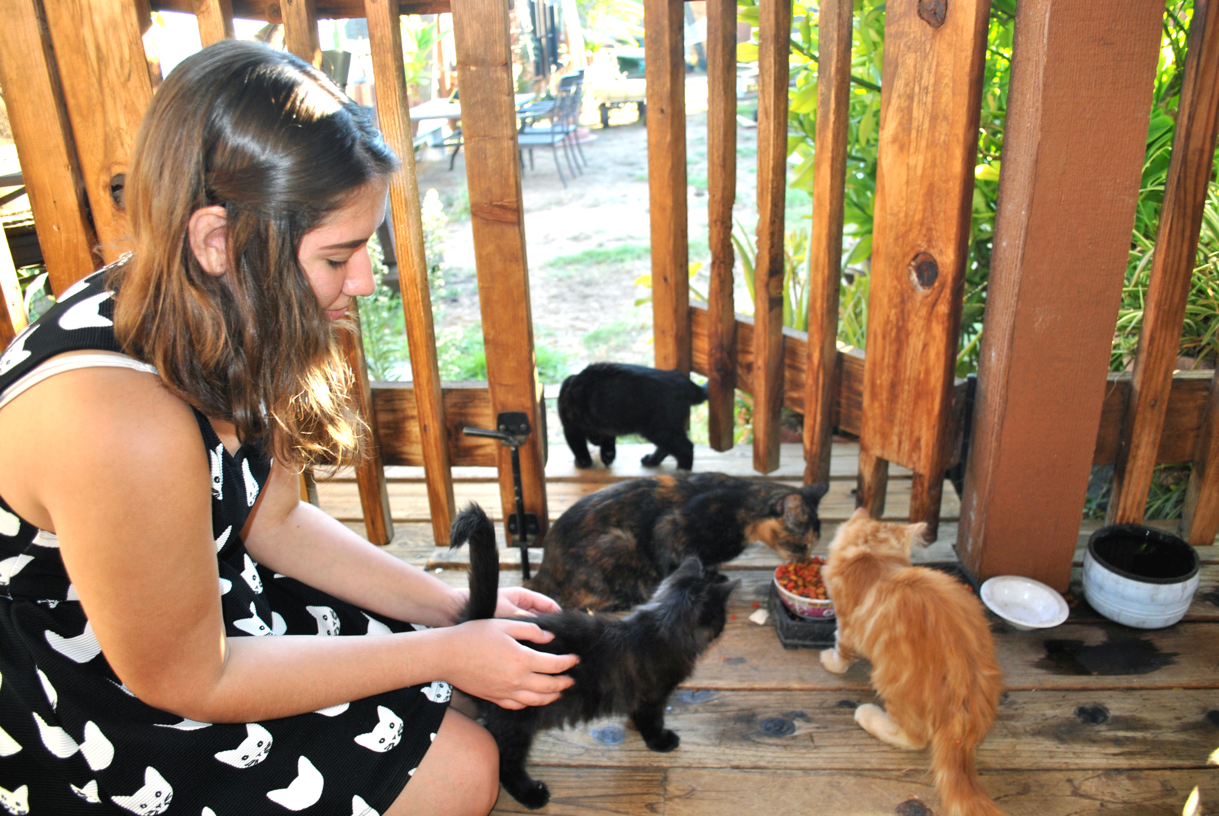 Sarah Feliciano rules catdom