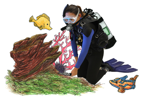 Hwang seas and explores underwater wonders