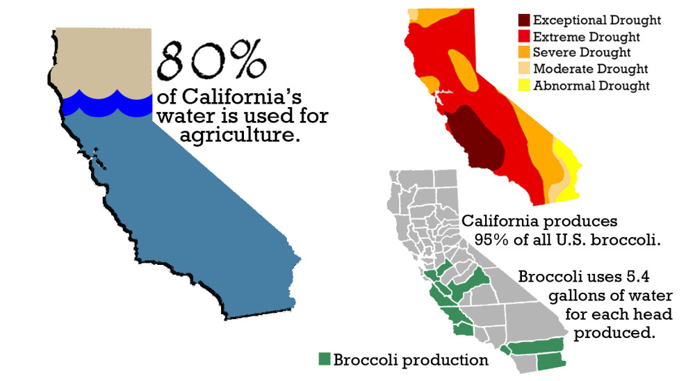 State water used on thirsty produce