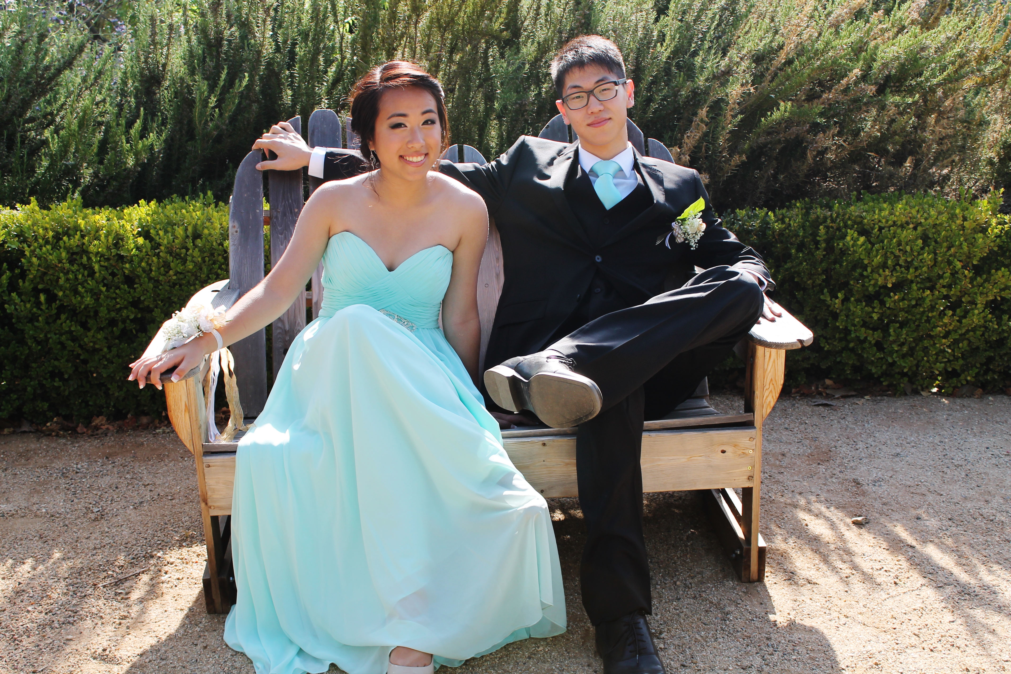 One girl’s declassified prom survival guide