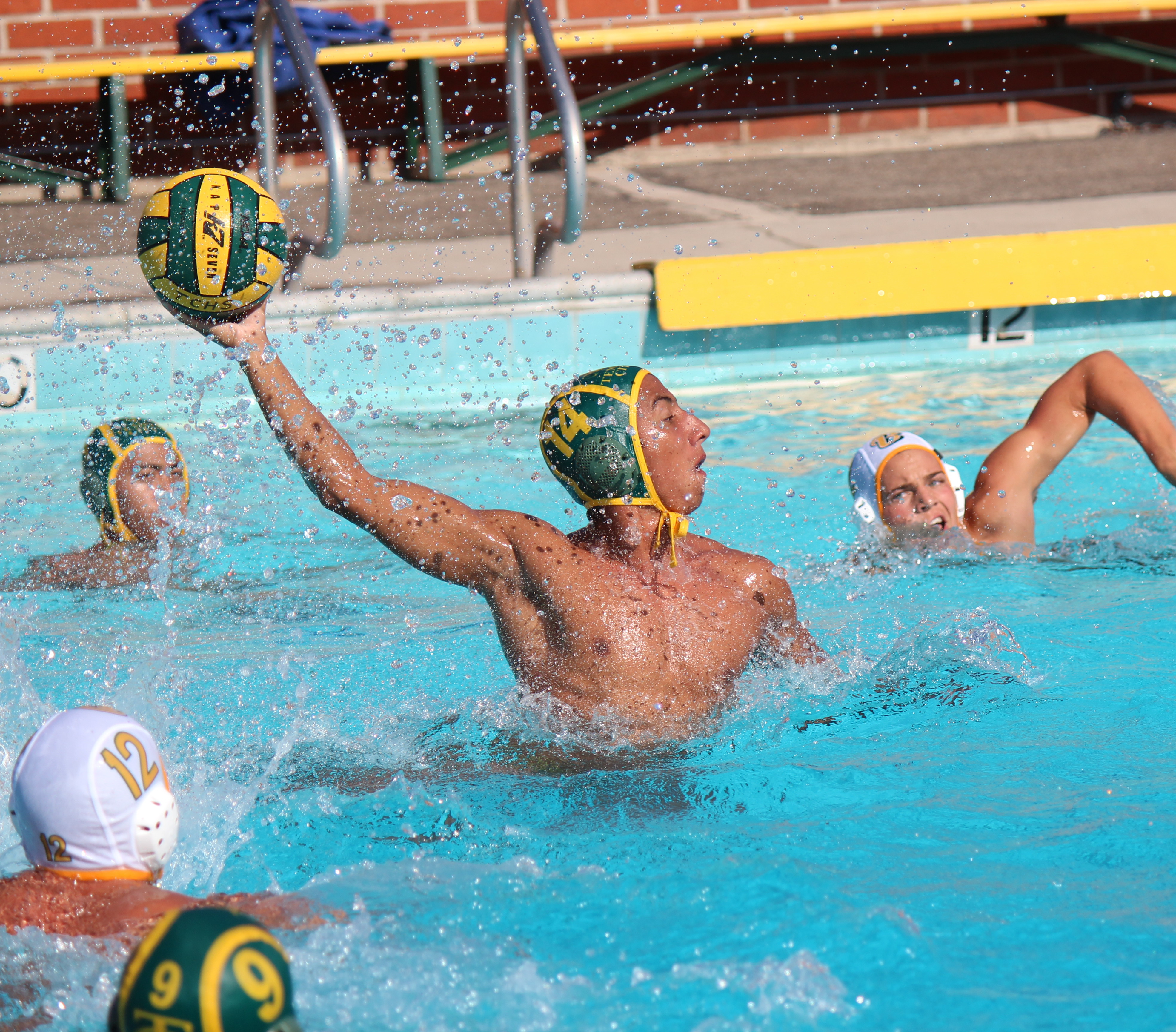 Boys water polo makes splash in new season