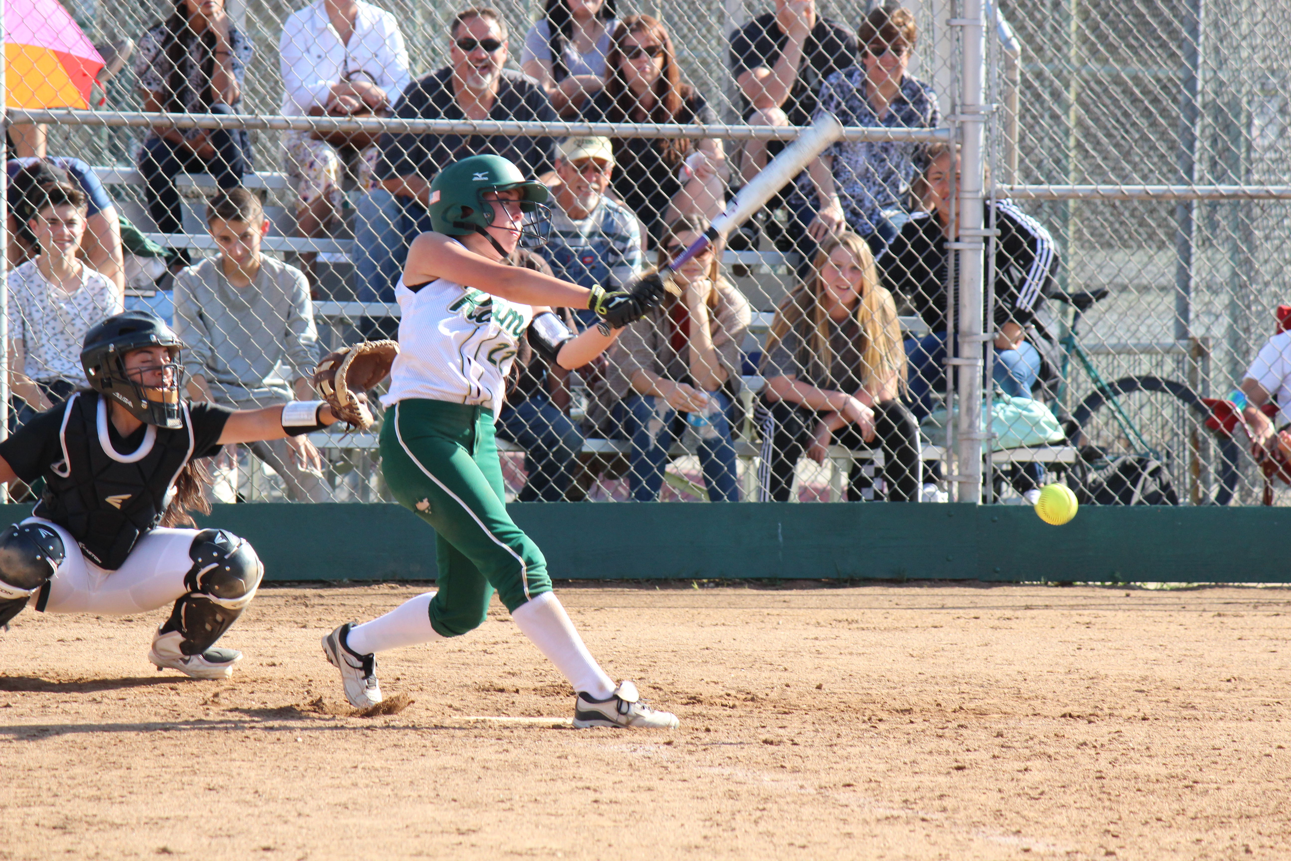 Softball looks to swing back after loss
