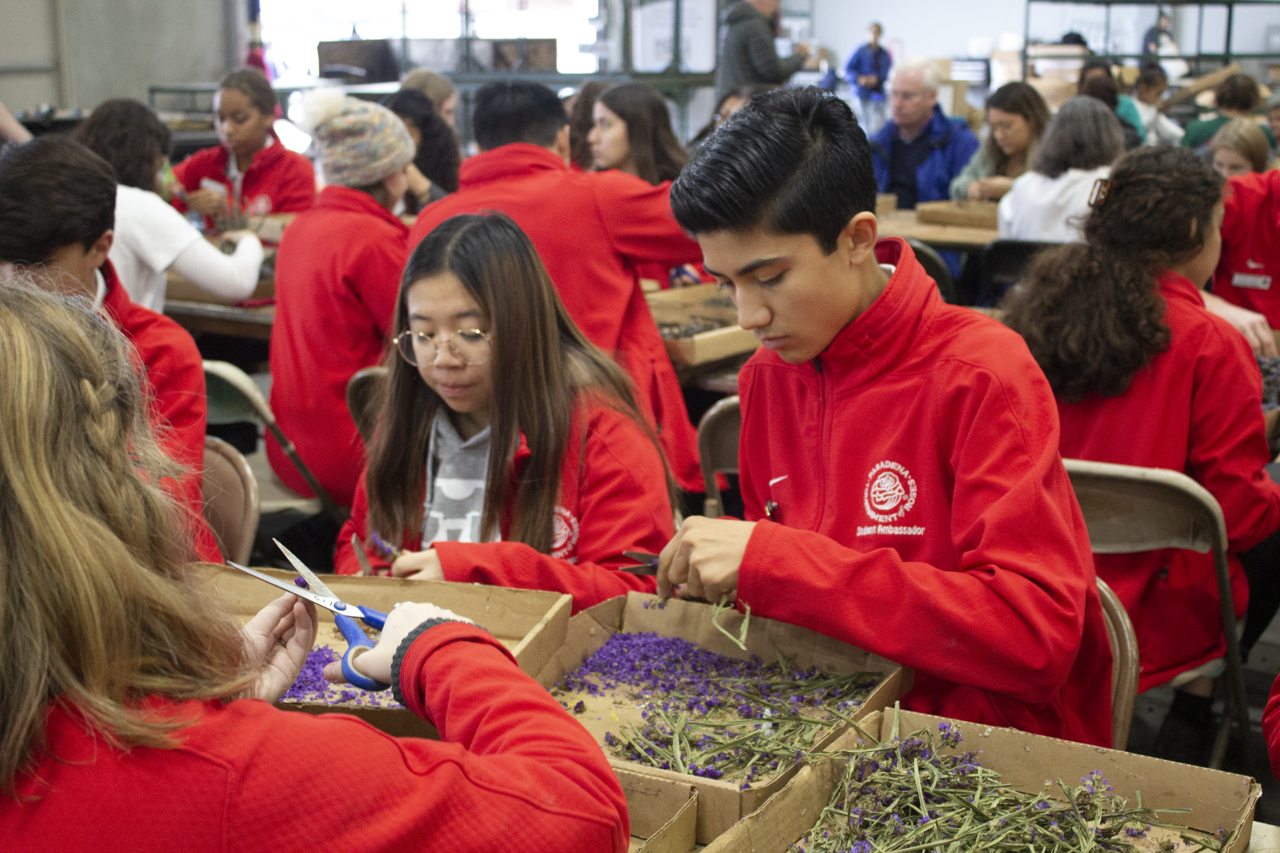 Ambassadors work towards celebration