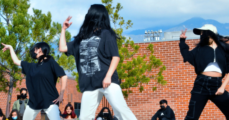 Big dreams bloom at the  Camellia Festival