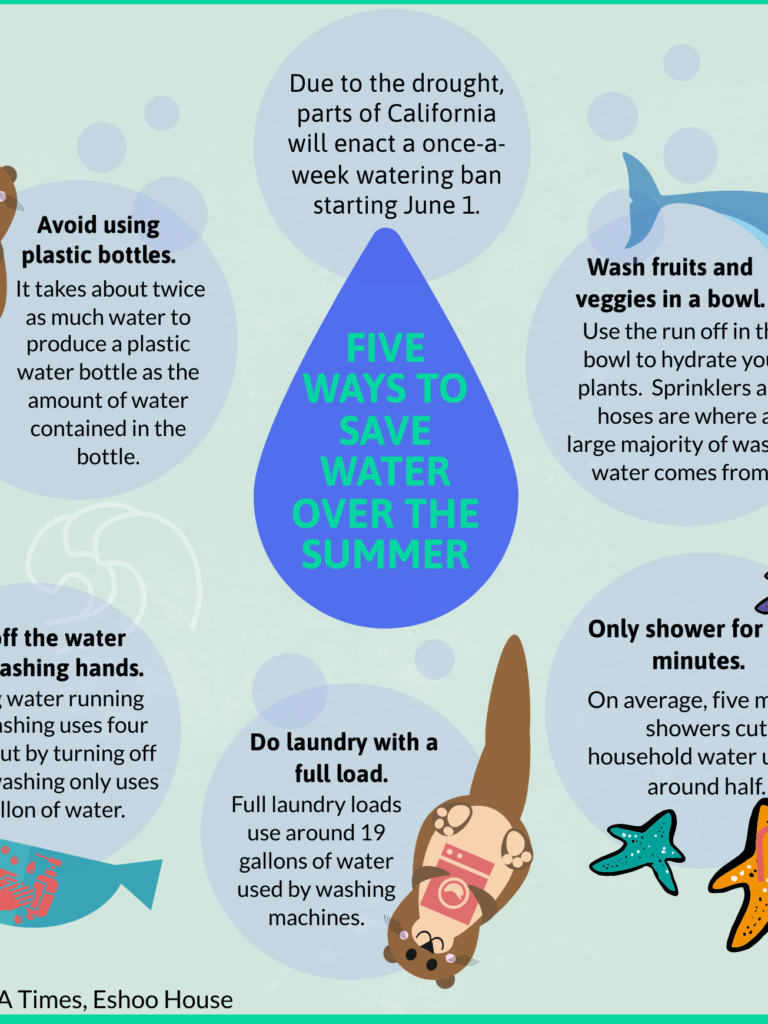 Five ways to save water over the summer