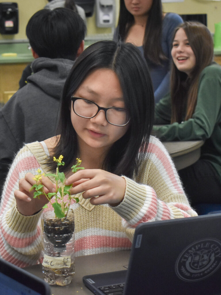 Facilitating fast plants and student growth