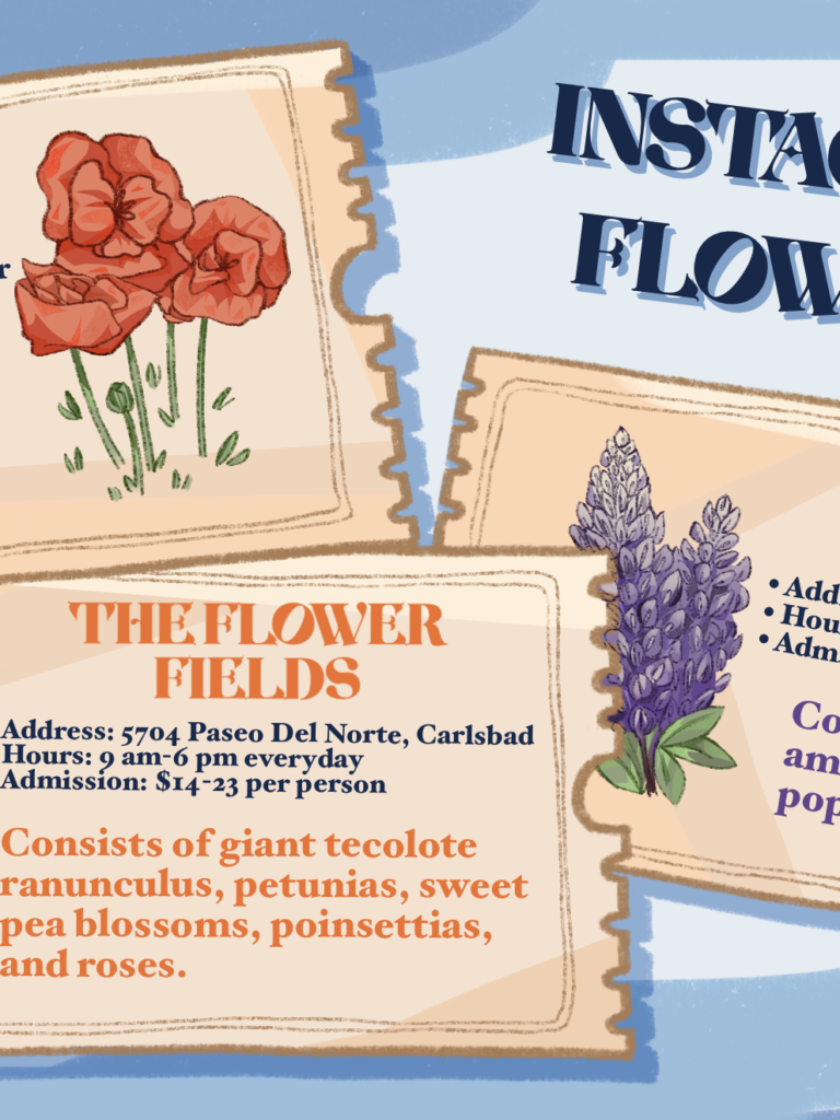 Instagram-able flower fields