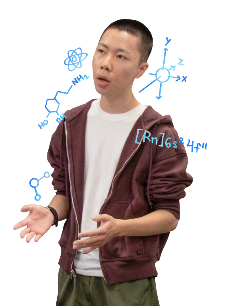 Guo catalyzes at MITES